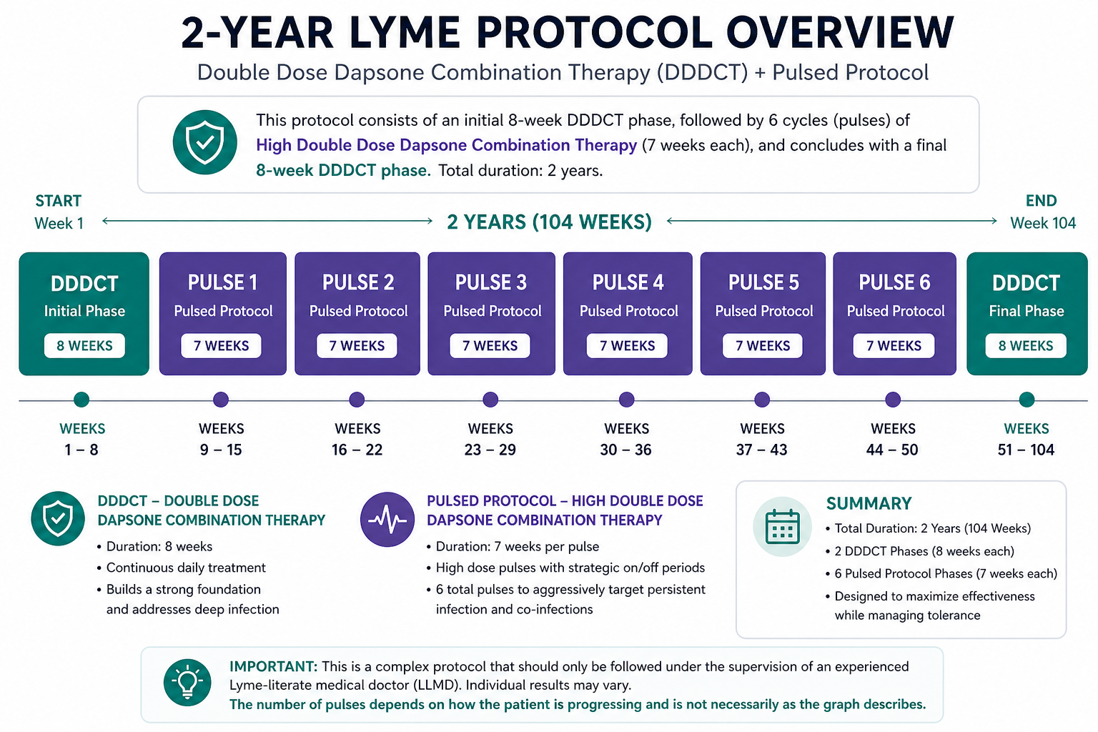 2-Year Lyme Protocol Overview showing DDDCT, six pulsed protocol phases, and a final DDDCT phase